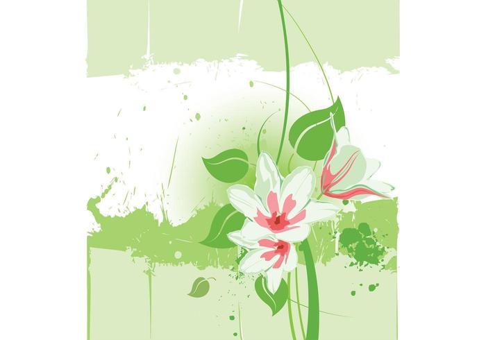 Akvarell Lilies Bakgrund Vector