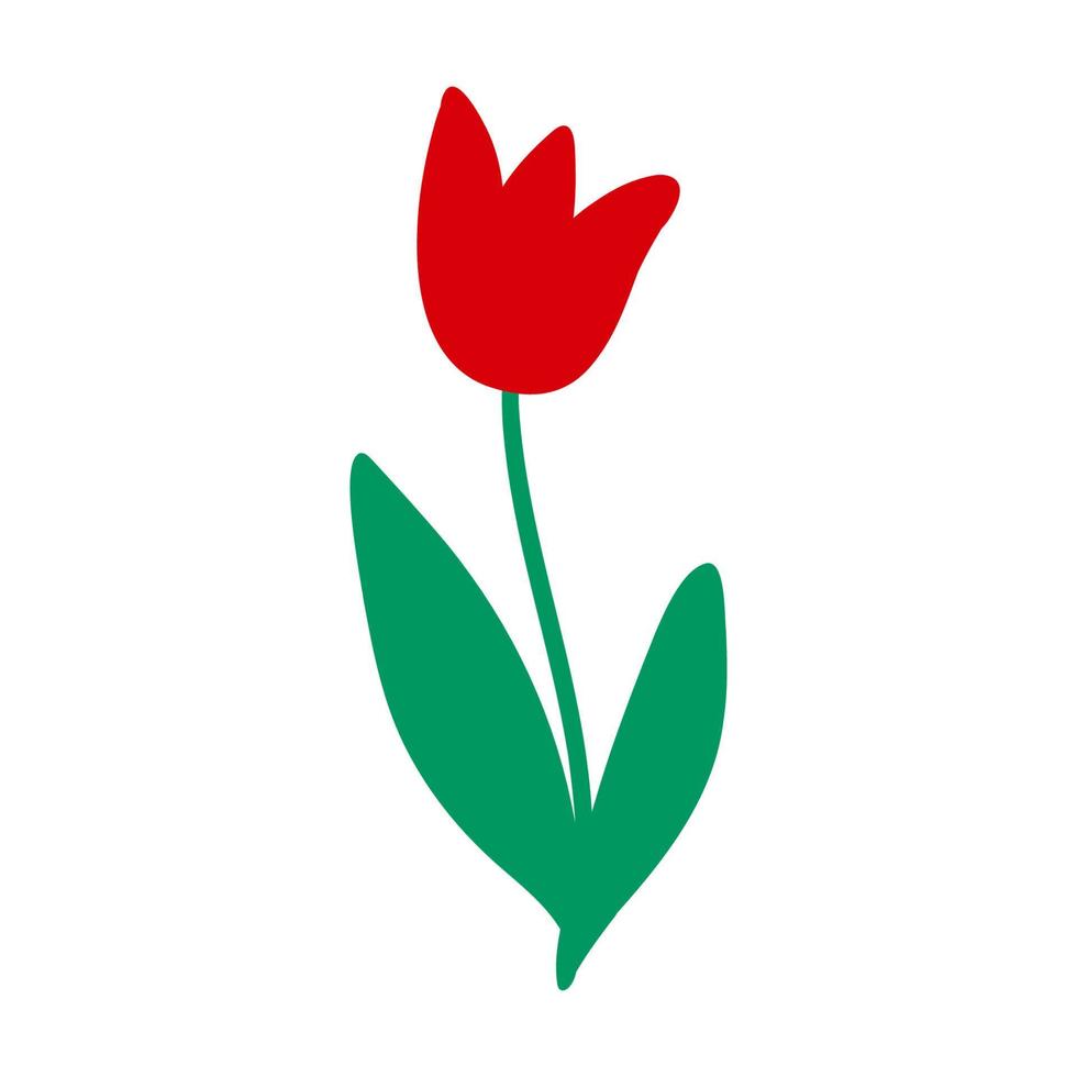 röd tulpan blomma. vektor illustration