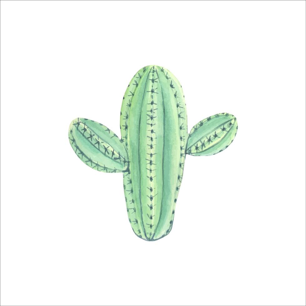 vattenfärg kaktus ,element för inbjudningar, hälsning kort. vektor