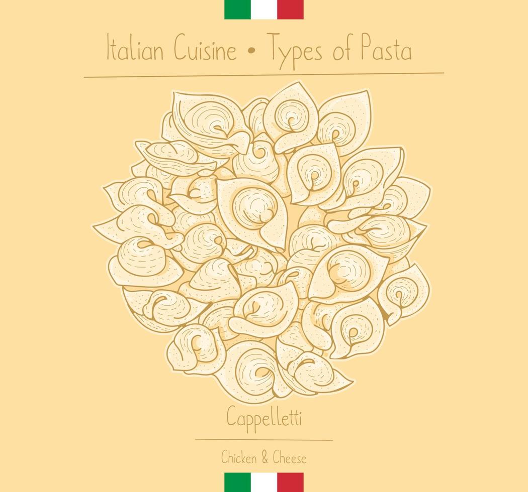 italienische Pasta mit Füllung aka Cappelletti vektor