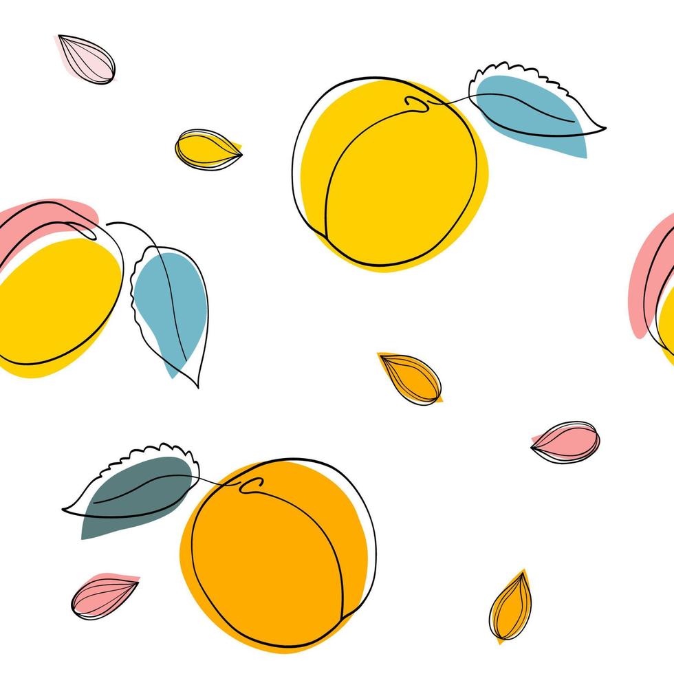Nahtlose Muster Aprikosenfrüchte und Samen vektor