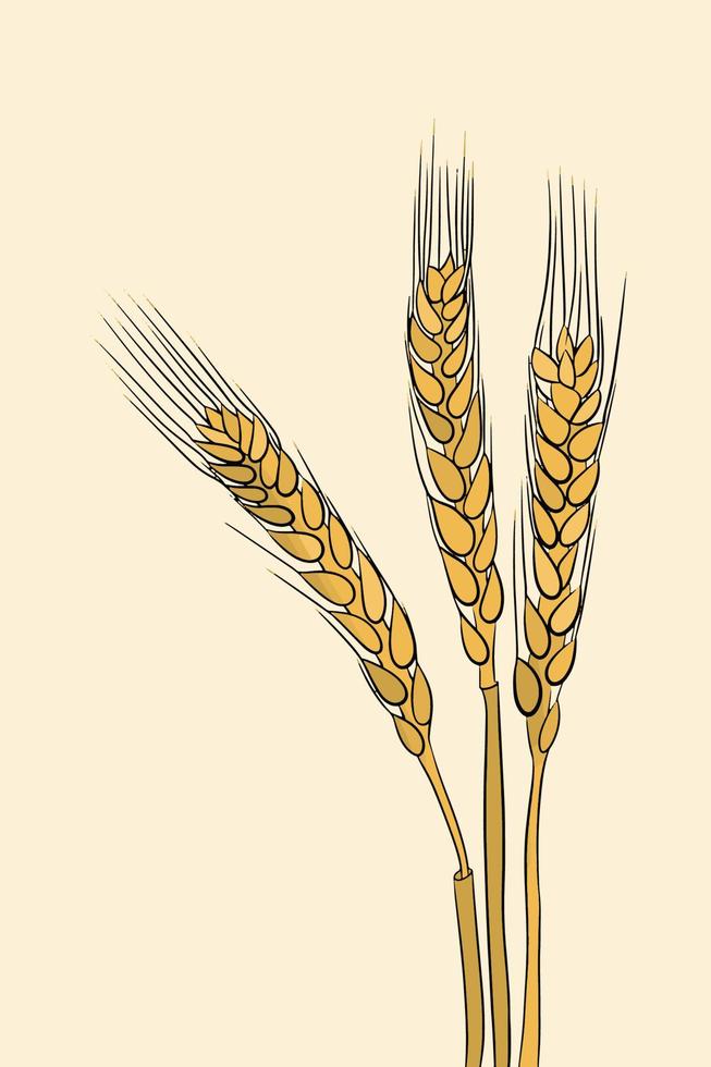 illustration av korn vektor
