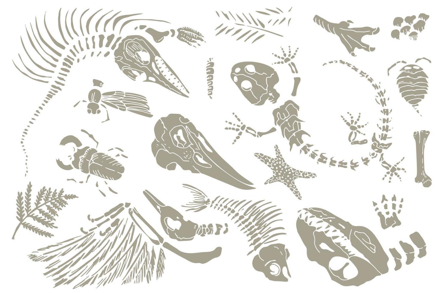 uppsättning av krita skiss avtryck av skelett av förhistorisk djur, insekter och växter. grå arkeologi, spricka stenar fragment , skräp stenblock. uppsättning av realistisk hand dragen konst. vektor illustration