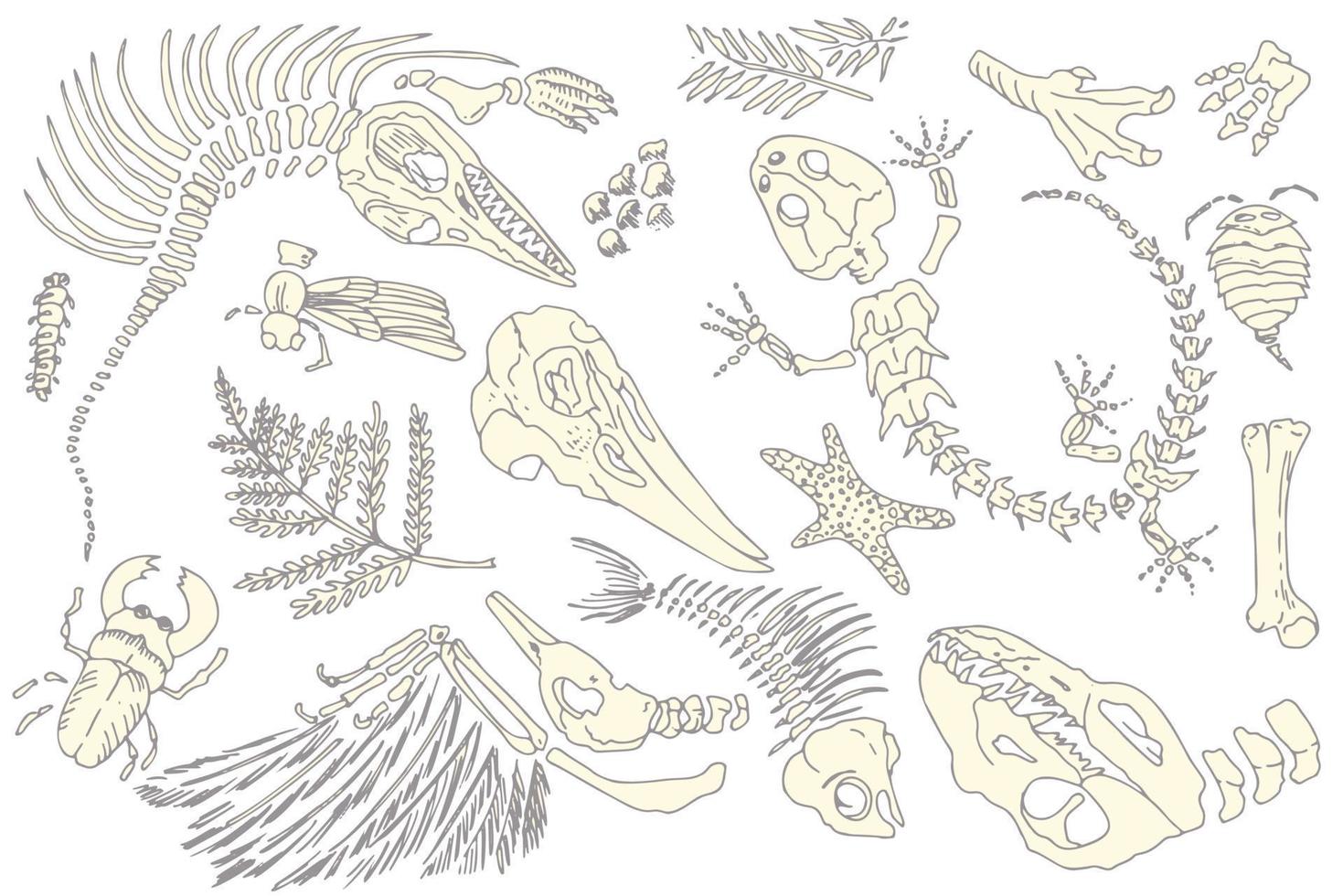 satz von silhouetten prägt skelette von prähistorischen tieren, insekten und pflanzen. graue archäologie, bruchgesteinsfragmente, schuttbrocken. satz realistischer handgezeichneter kunst. Vektor-Illustration vektor