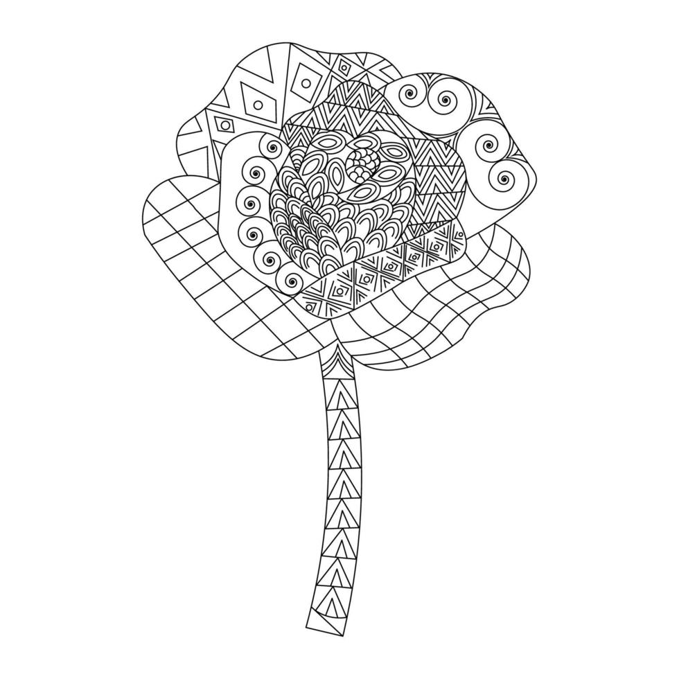 blumen rose zentangle malseite mit dekorativen einfachen skizzen design illustration vektor