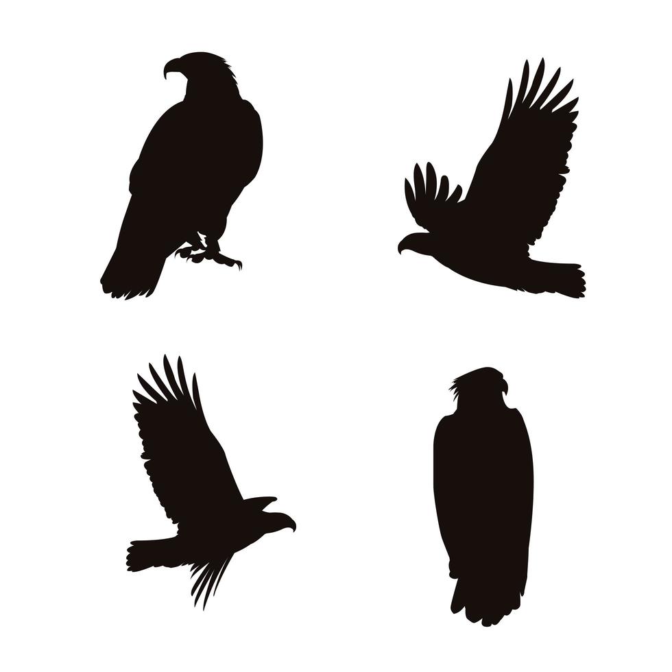 Weißkopfseeadler Silhouetten vektor