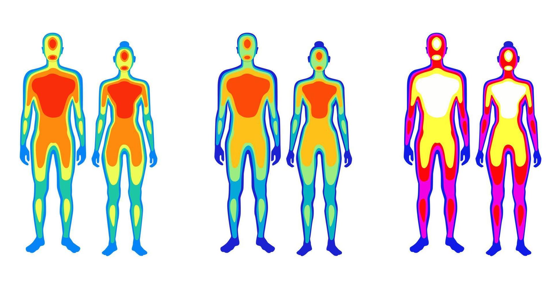 uppsättning av tecknad serie kropp värme termogrammet man och kvinna vektor platt illustration. samling av par infraröd termografi isolerat på vit. temperatur torso område av ljus spektrum mänsklig