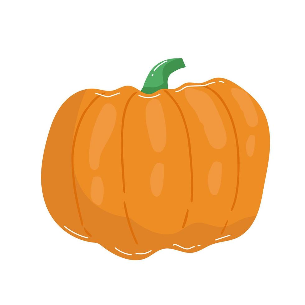 orange Kürbis-Vektor-Illustration. Herbst-Halloween-Kürbis, Gemüse-Grafik-Symbol oder Druck, isoliert auf weißem Hintergrund. vektor