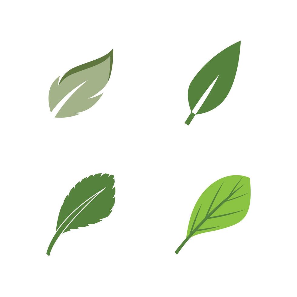 gröna blad illustration natur logotyp design vektor