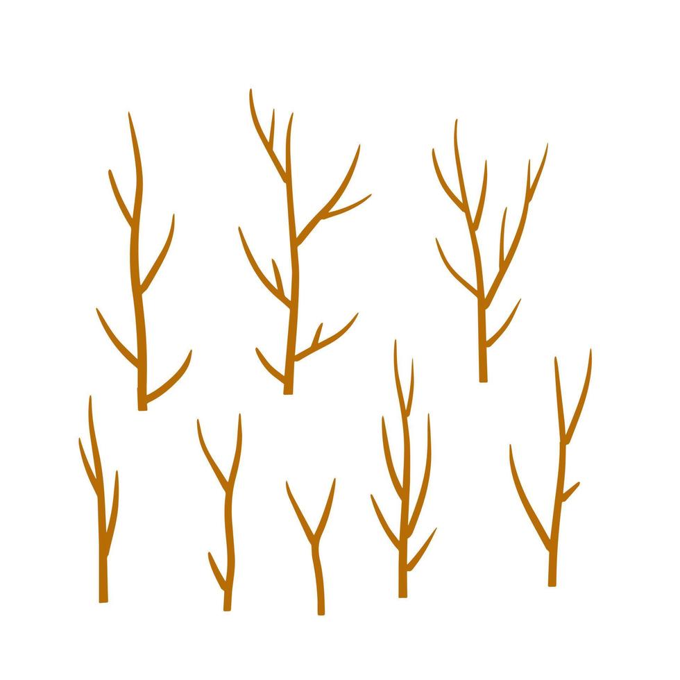 träd gren. uppsättning av annorlunda brun pinnar. tecknad serie platt illustration. element av natur, skog, parkera vektor