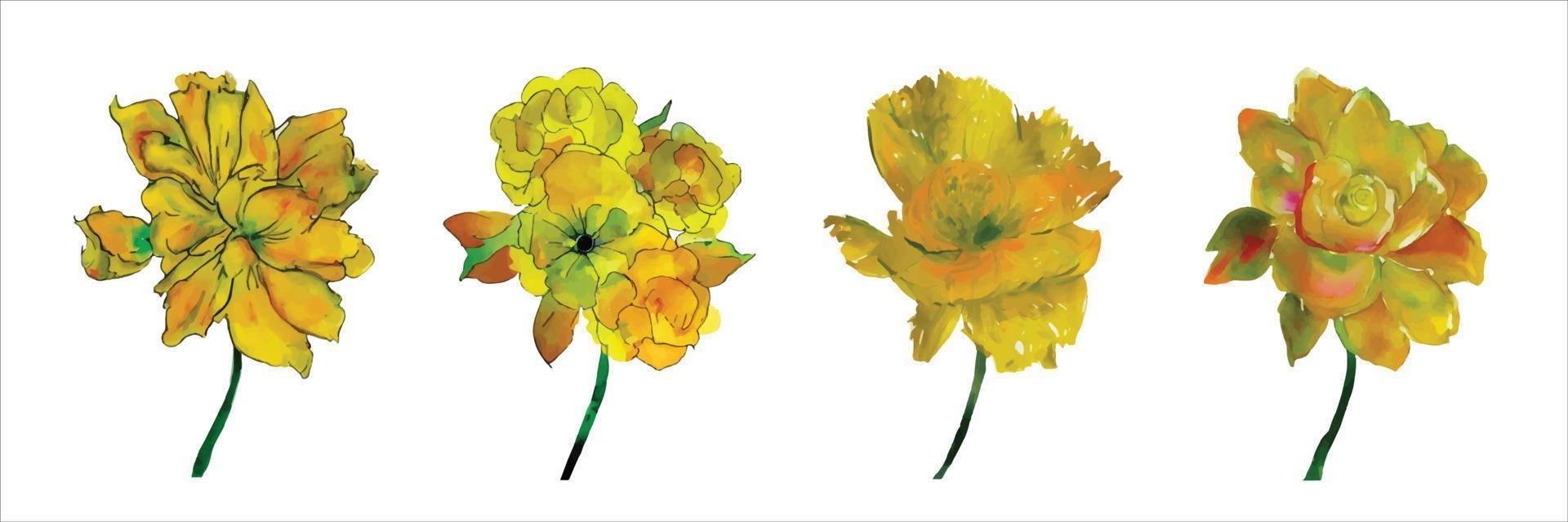 skön vattenfärg illustration med uppsättning av gul blommor isolerat på vit bakgrund för dekorativ design. vektor