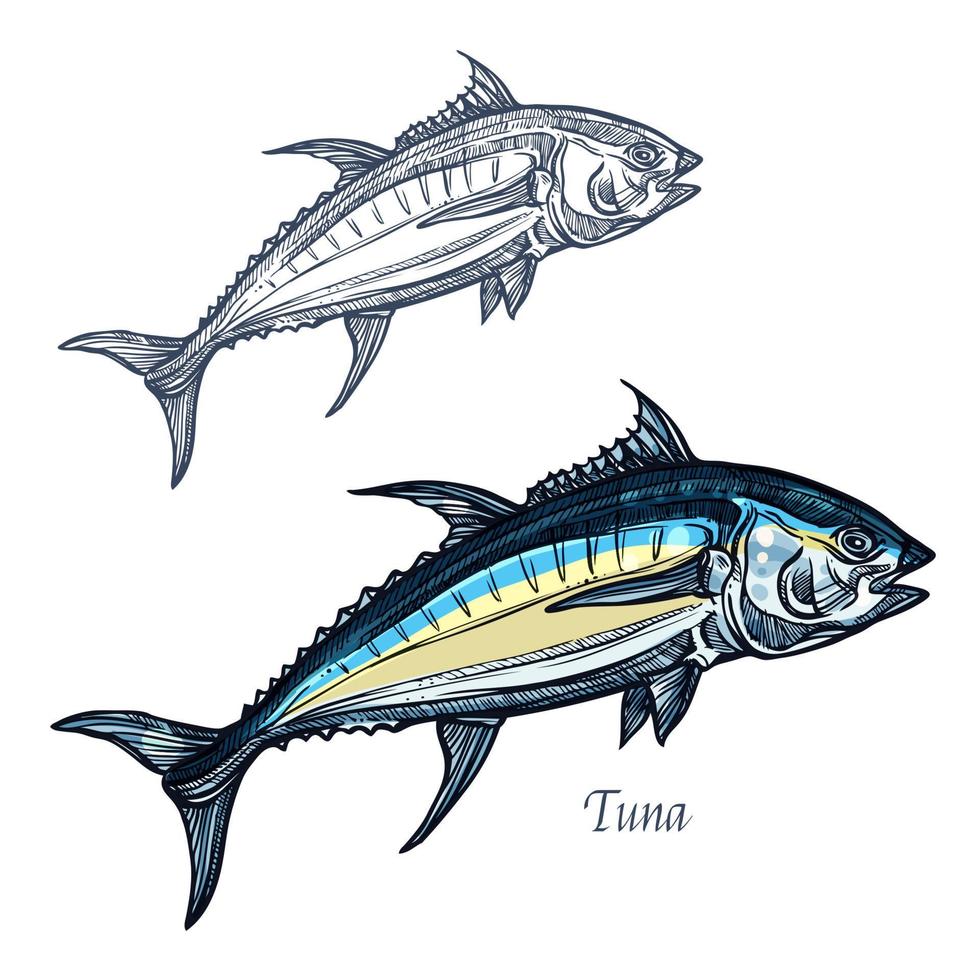 Thunfisch Vektor isoliert Skizzensymbol