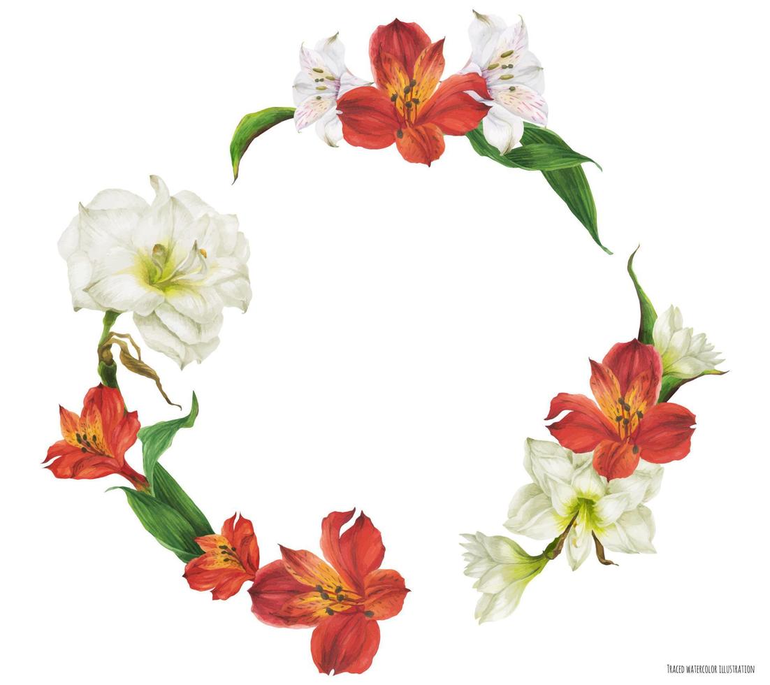 floraler runder rahmen mit roten und weißen lilienblumen vektor