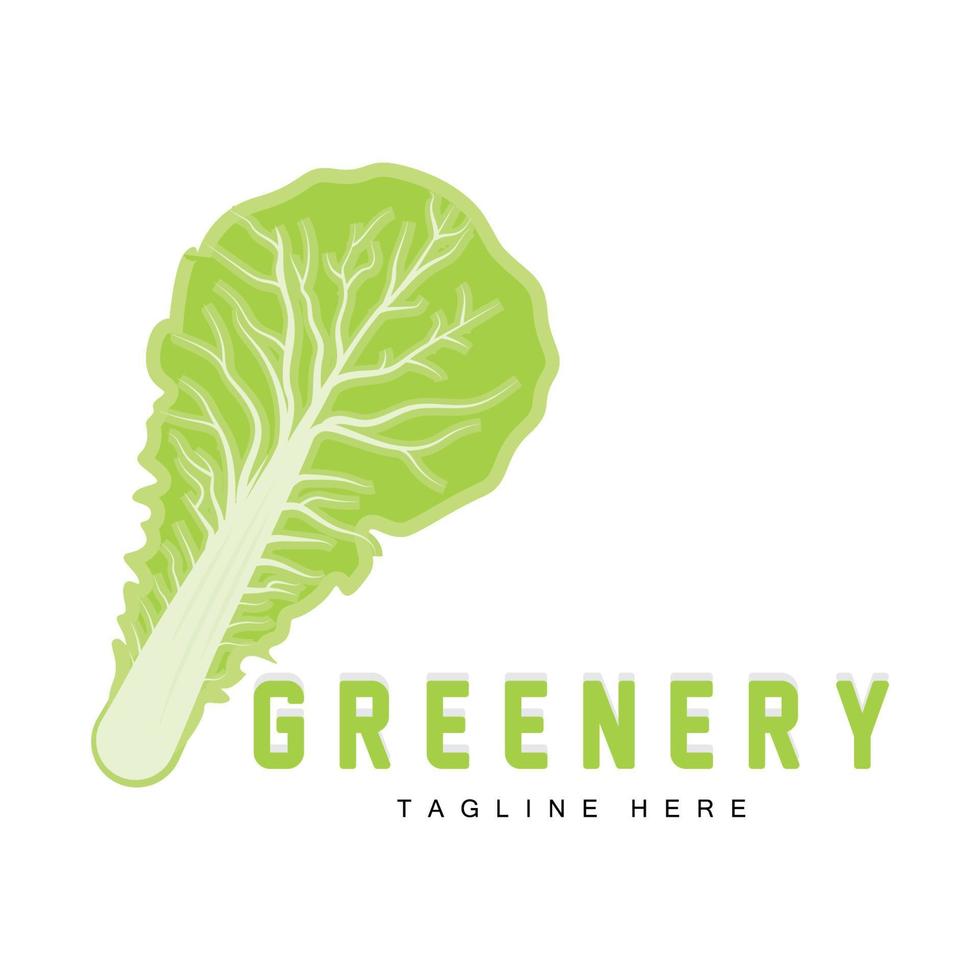 Chinakohl Logo Design grüne Pflanze Vektor Kimchi Lebensmittelzutaten