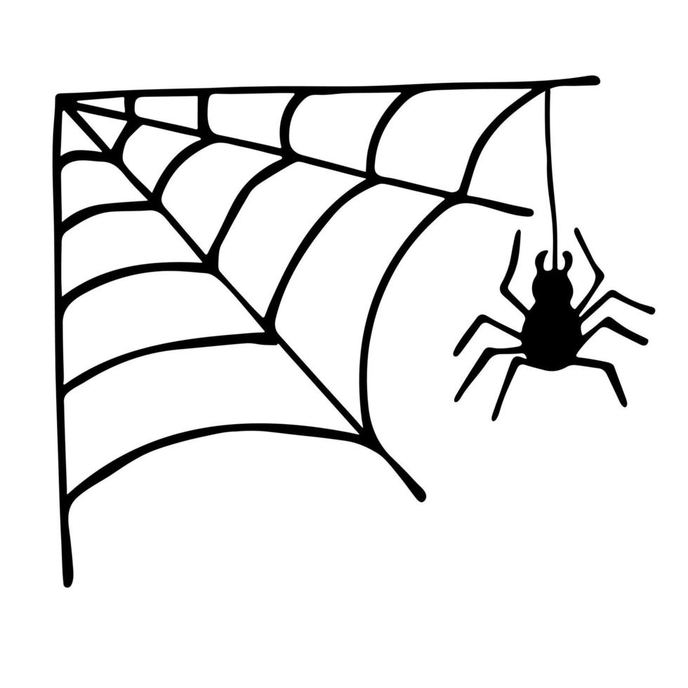 enkel hand dragen Spindel webb illustration. söt skir ClipArt. halloween klotter för skriva ut, webb, design, dekor, logotyp vektor