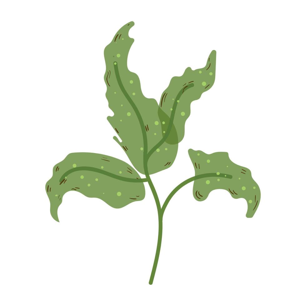 vektor illustration av alger