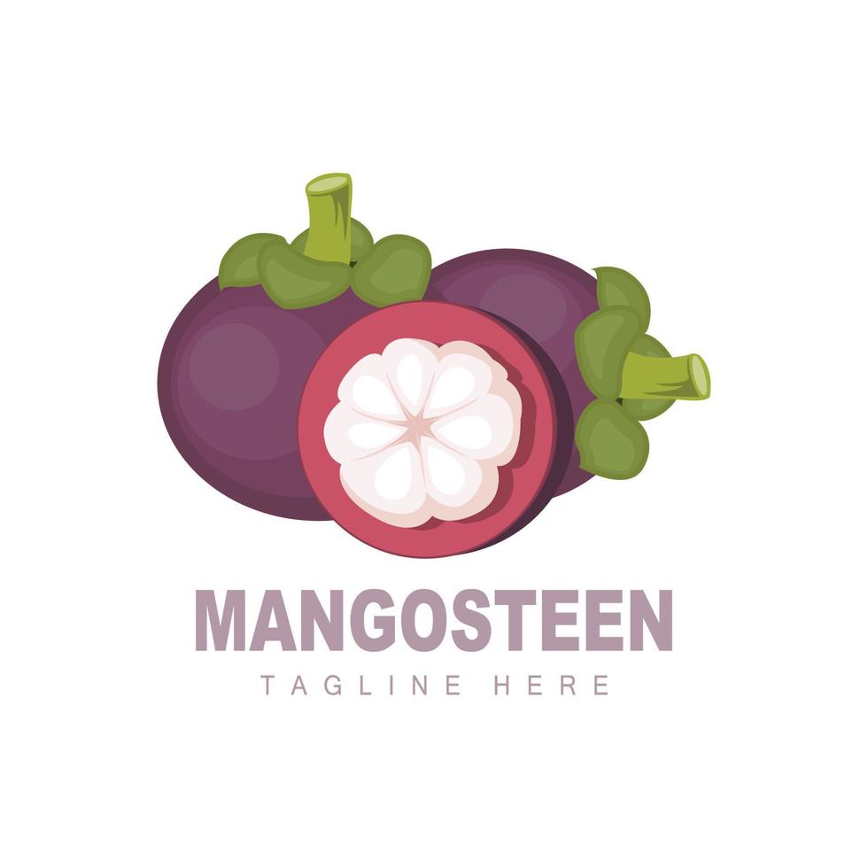 Mangosteen-Logo-Design, Vektor aus frischen Früchten für die Hautgesundheit, Markenillustration für Obstläden und natürliche Hautmedizin