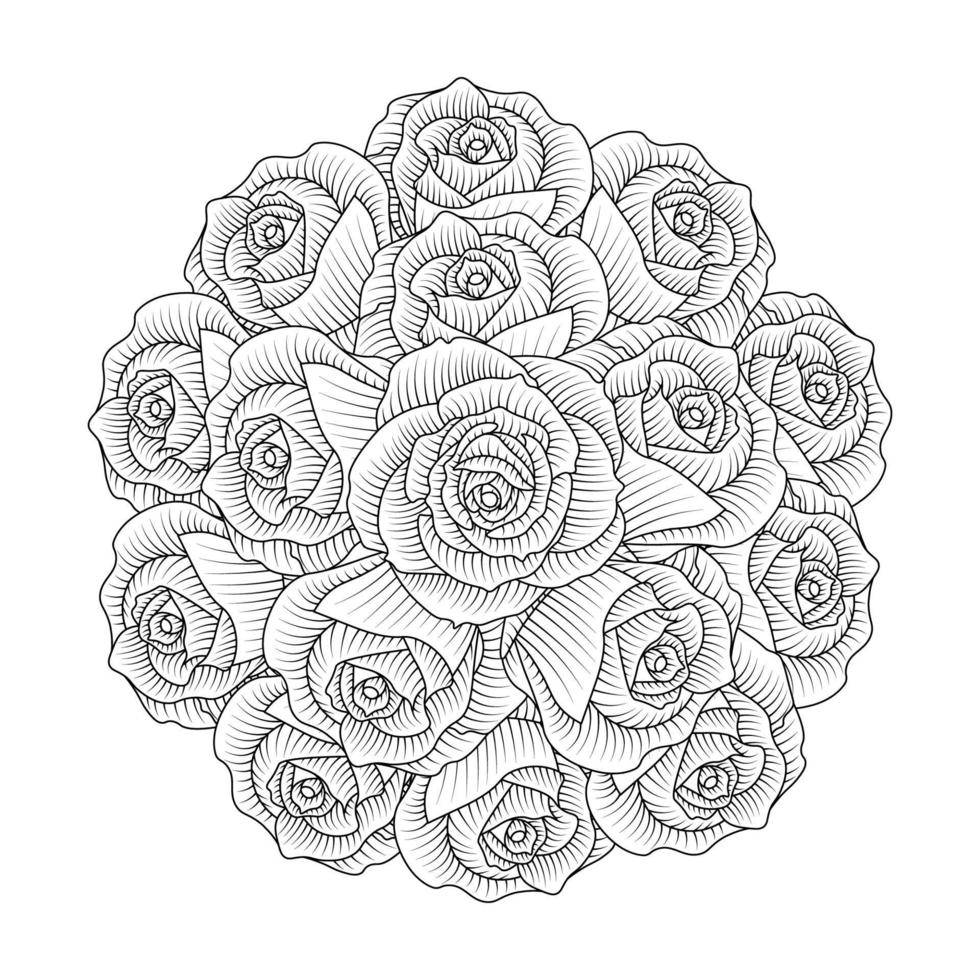 rote rosen blumen farbseite linienskizze zeichnung mit dekorativer anti-stress-illustration vektor