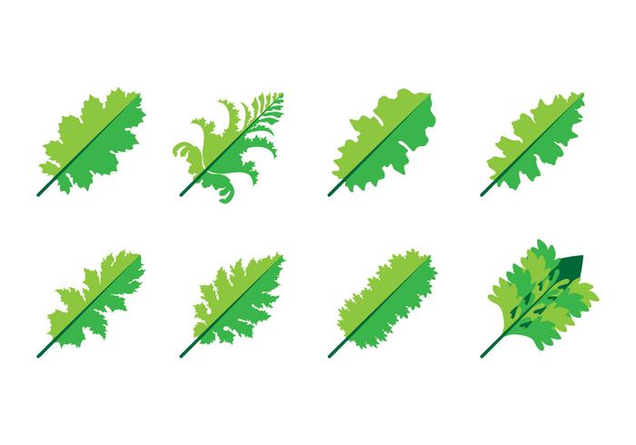Gratis Acanthus Leaf Icon Vector