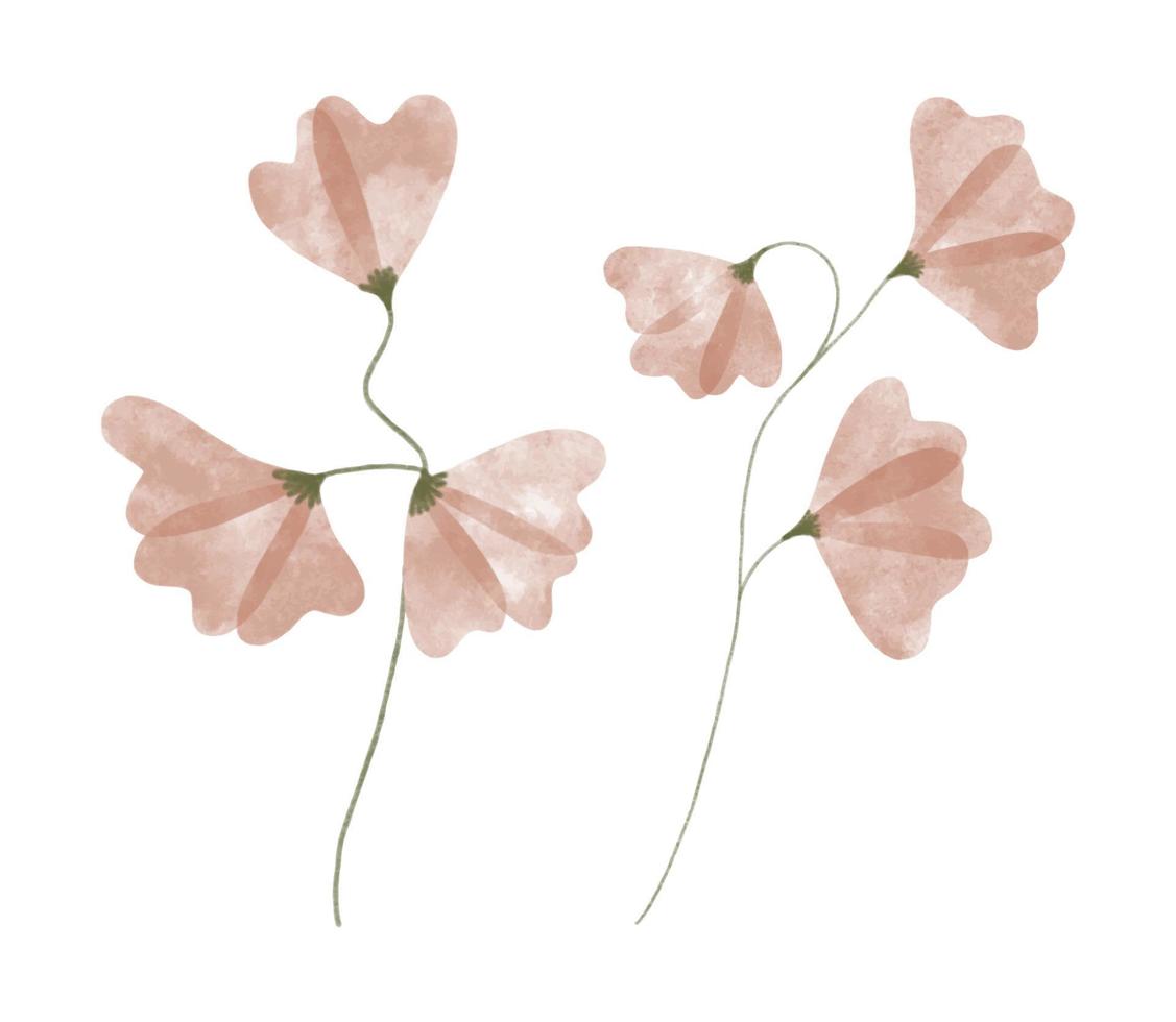 mängd av vattenfärg trendig blommor. vektor illustration för webb, app och skriva ut. elegant feminin former floristisk isolerat ljuv ärtor blommor. trädgård, botanisk, minimalistisk blommig uppsättning.