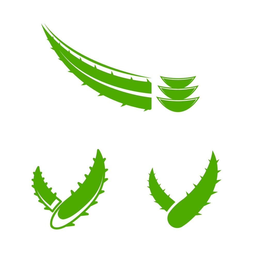 Aloe Vera Vektor Icon Design Illustration