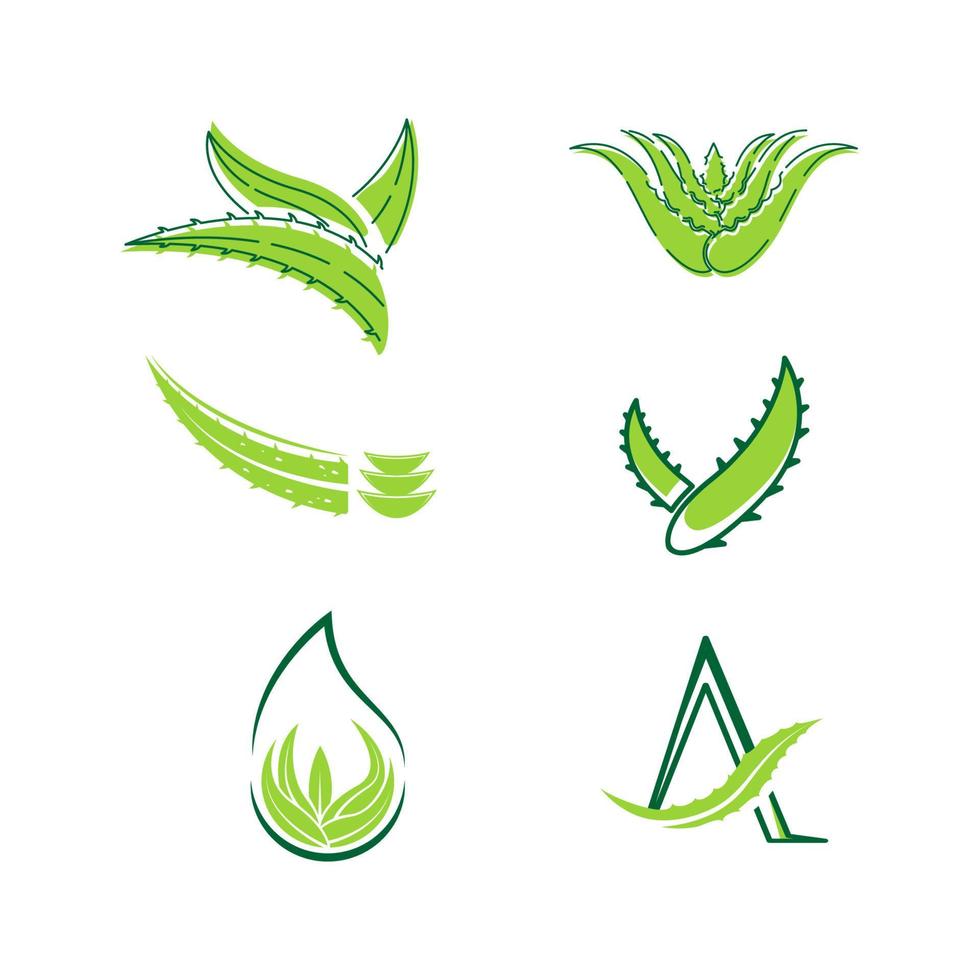 Aloe Vera Vektor Icon Design Illustration