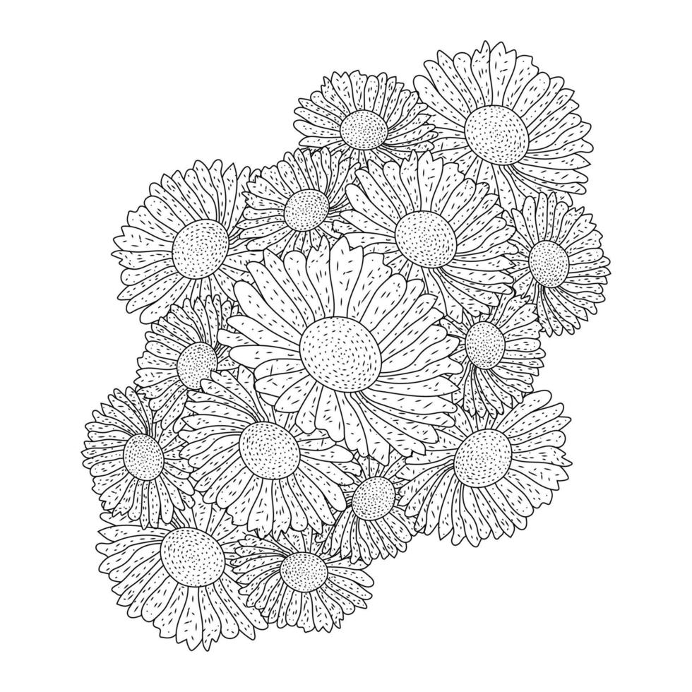 Kamillen- und Gänseblümchen-Blume zum Ausmalen von Seitendesign mit detaillierter Linienkunst-Vektorgrafik vektor