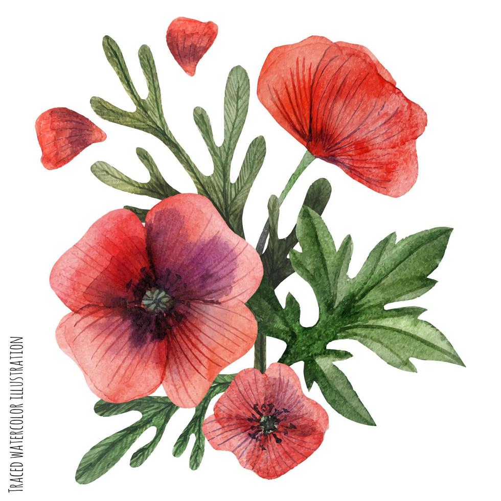 Mohnblumen handgemalte Aquarell Ansteckblume vektor