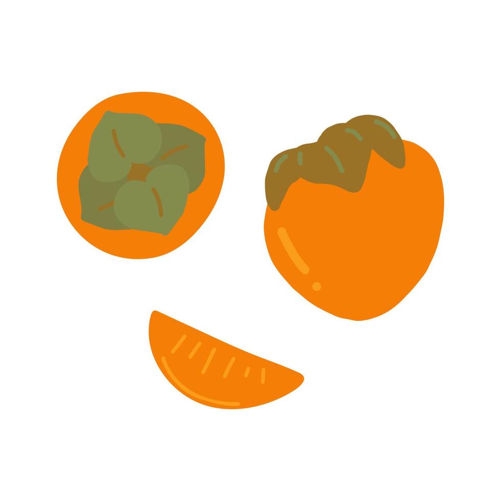 persimon frukt, blad och skiva uppsättning hand ritade. , minimalism. isolerat ikon klistermärke vektor