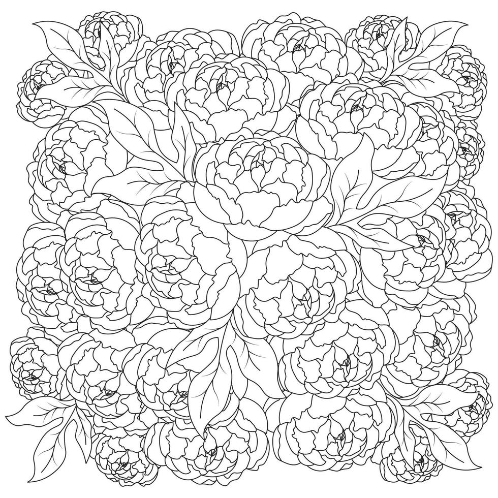 Pfingstrose Blumenstrauß Doodle Kunst der Blume Malvorlagen Umriss Vektorgrafik isolierten Hintergrund vektor
