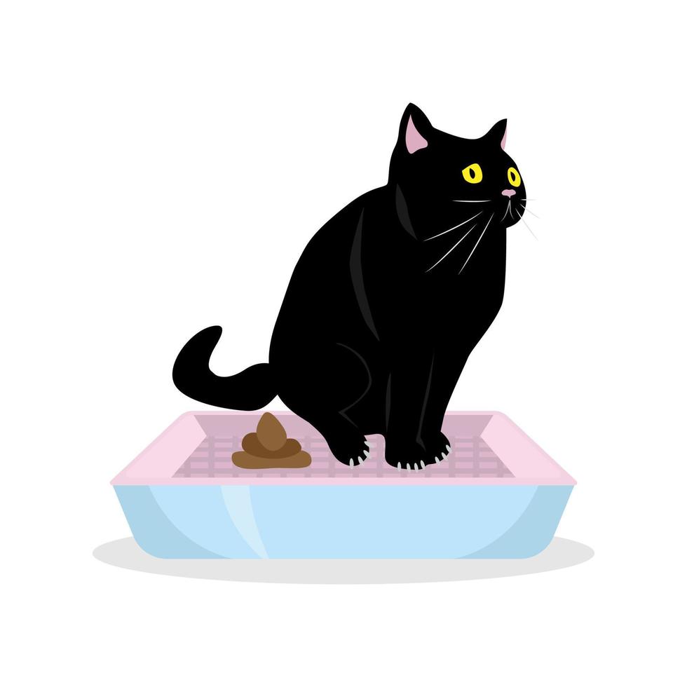 svart katt pooping på en potta. vektor illustration