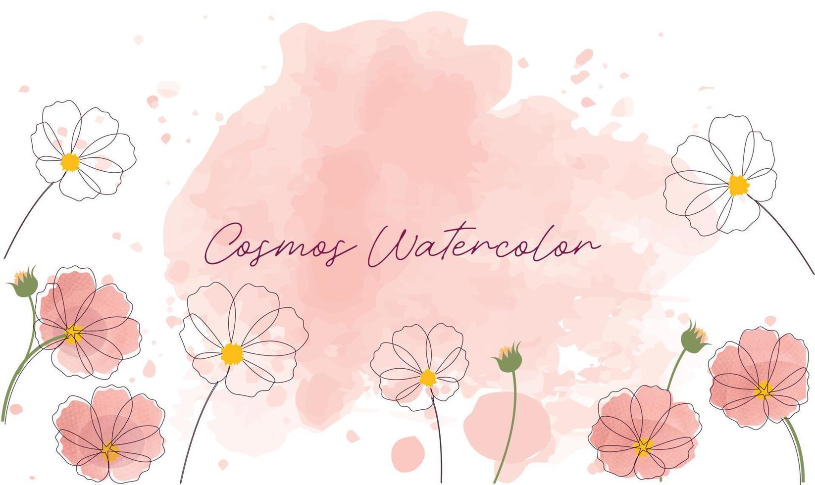 vektorillustration des kosmosrahmen-blumenmaterials auf der unterseite des weißen hintergrunds. Kosmos Aquarell rosa Hintergrund Vektor-Illustration für die Dekoration. vektor