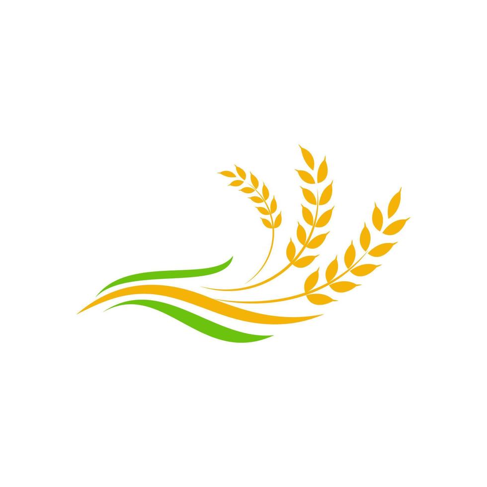 Landwirtschaft Weizen Reis Vektor Icon Design