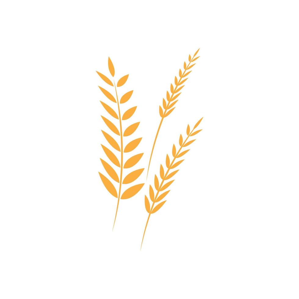lantbruk vete ris vektor ikon design
