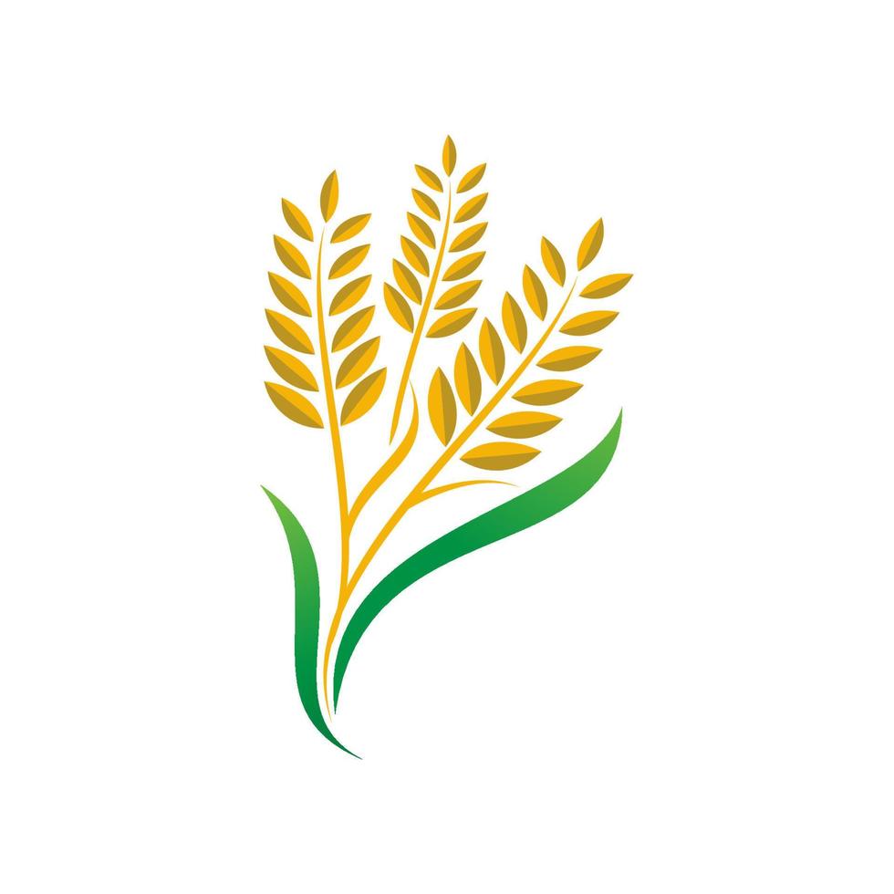 Landwirtschaft Weizen Reis Vektor Icon Design