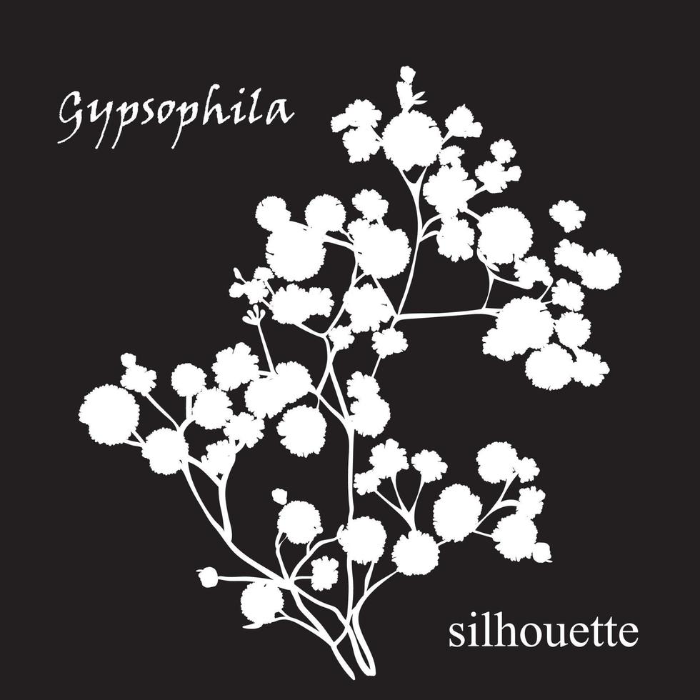 gren av skön ritad för hand silhuett Gypsophila vektor