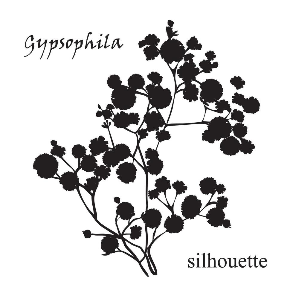 gren av skön ritad för hand silhuett Gypsophila vektor