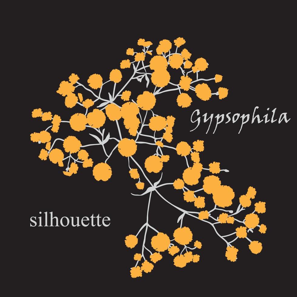gren av skön ritad för hand silhuett Gypsophila vektor