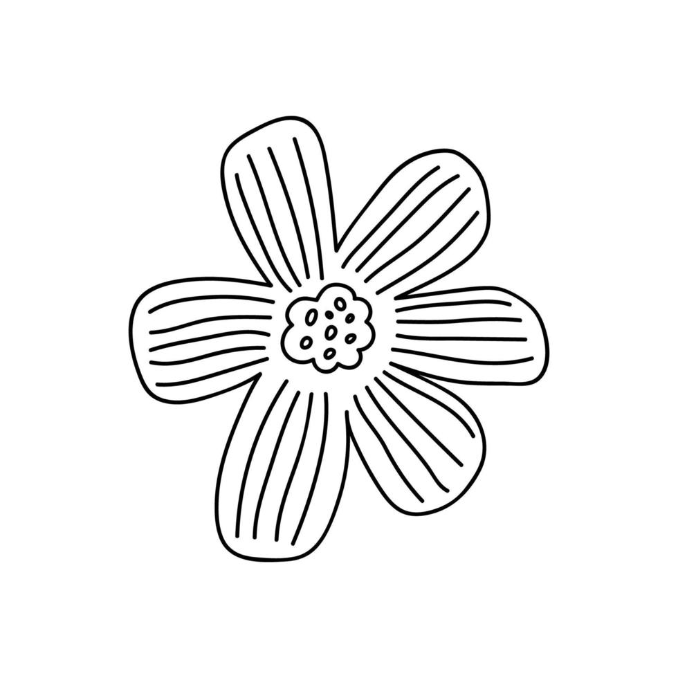 niedliche gekritzelblume lokalisiert auf weißem hintergrund. vektor handgezeichnete illustration. Perfekt für Karten, Logos, Dekorationen, verschiedene Designs. botanische Cliparts.