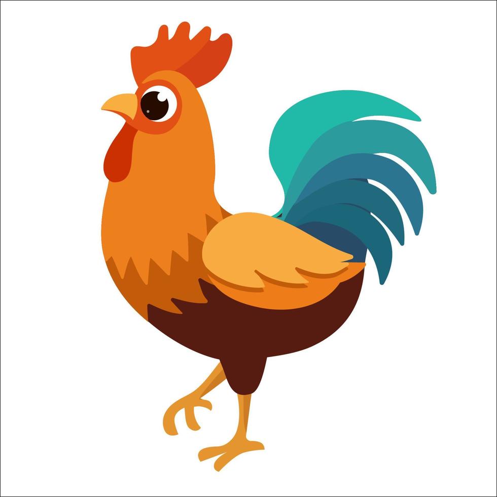 fjäderfän tupp kyckling djur- bruka fågel illustration vektor