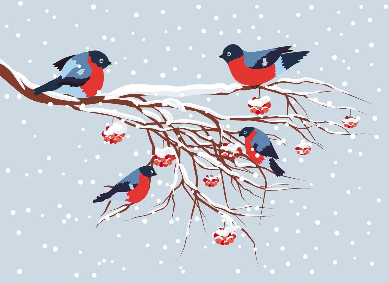 domherre Sammanträde på snötäckt gren av berg aska. jul och ny år design hälsning kort vektor