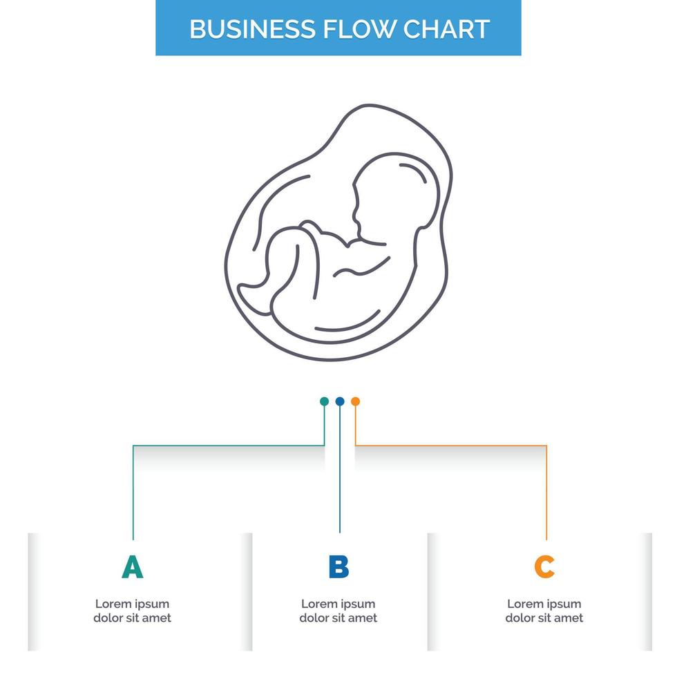 Baby. Schwangerschaft. schwanger. Geburtshilfe. Fötus-Business-Flussdiagramm-Design mit 3 Schritten. Liniensymbol für Präsentation Hintergrundvorlage Platz für Text vektor