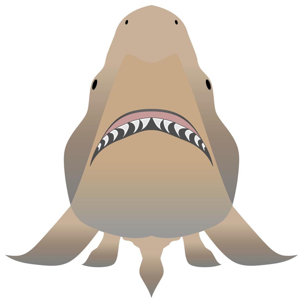 Bullenhai mit geöffnetem Maul in Angriffsposition und scharfen Zähnen vektor