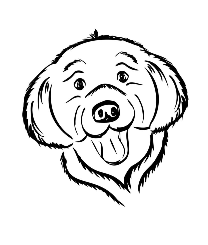 söt leende Leonberger valp. rolig munkorg av en valp. fårhund. vektor, illustration. vektor