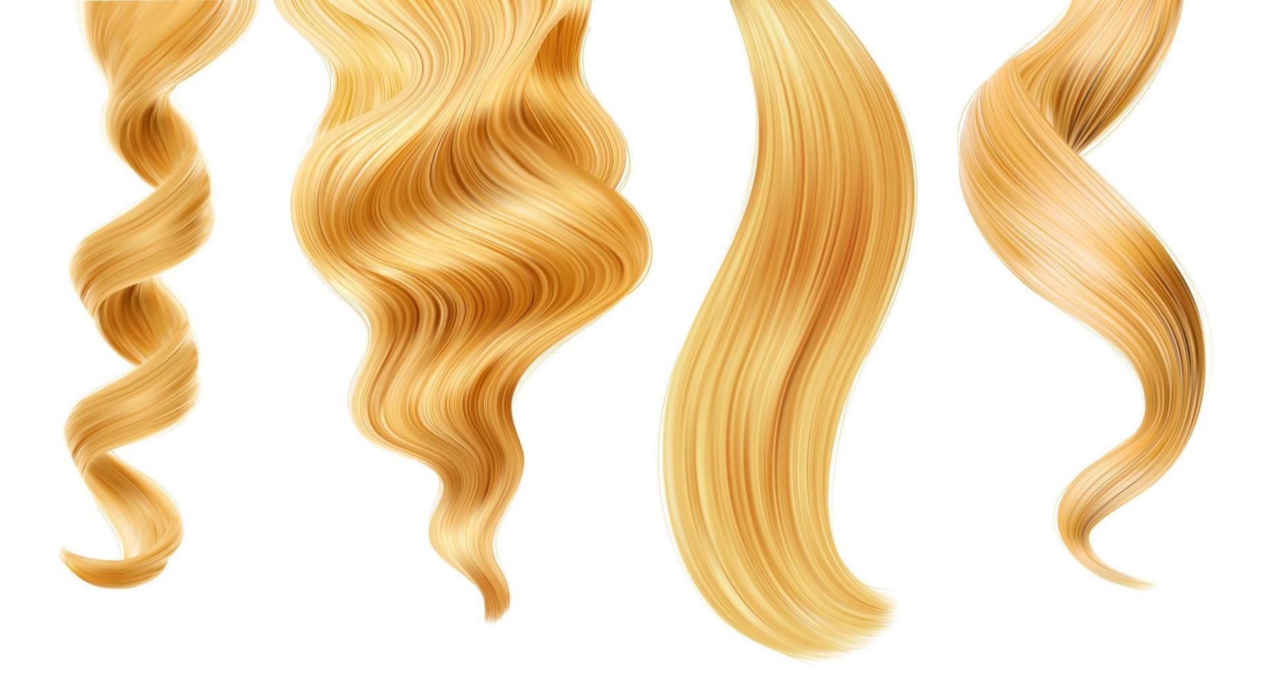 skinande blond kvinna hår strå, ringla eller hästsvans vektor
