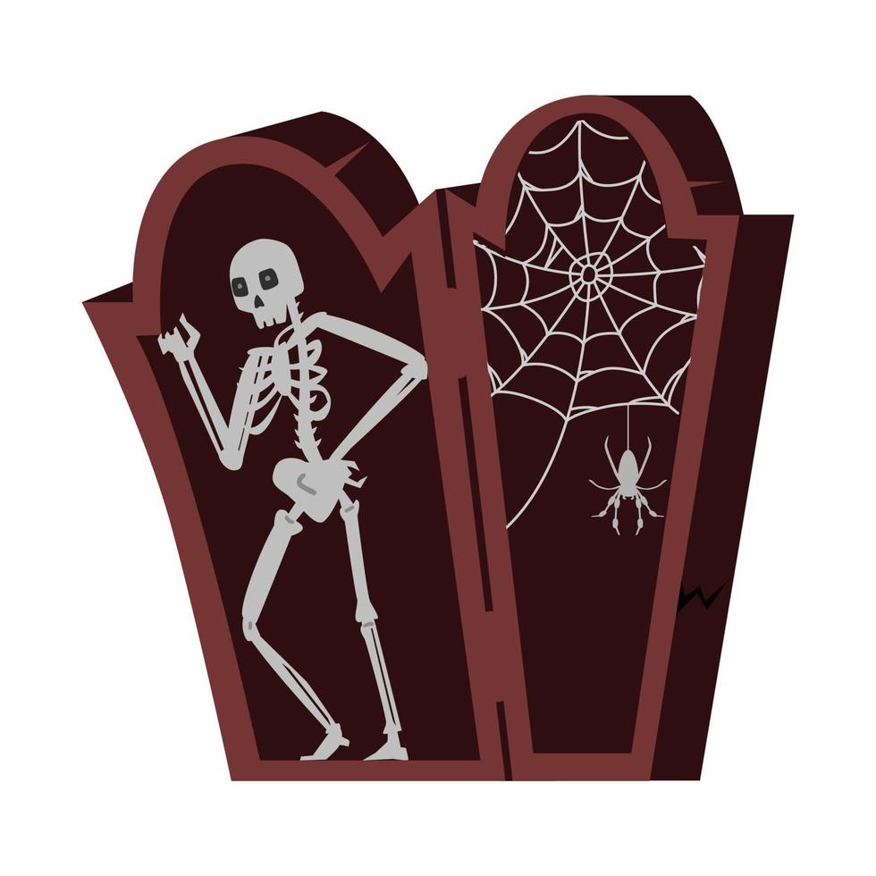 skelett i öppnad trä- Kista med Spindel och webb halloween vektor illustration isolerat på vit.