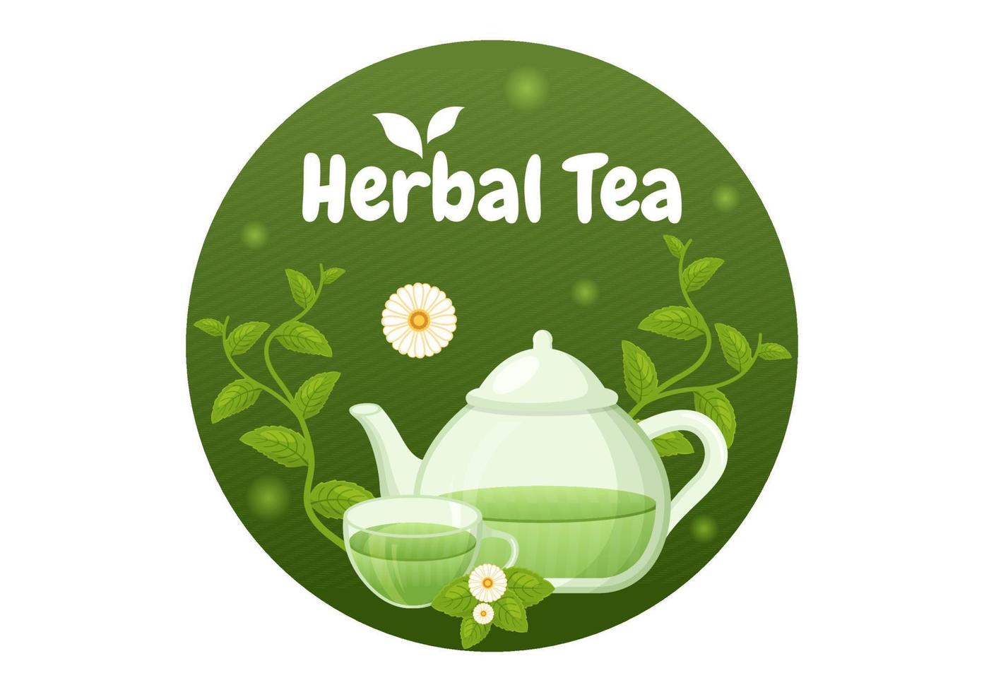 ört- te med kamomill löv av hälsa dryck grön till öka uthållighet i mall hand dragen tecknad serie platt bakgrund illustration vektor