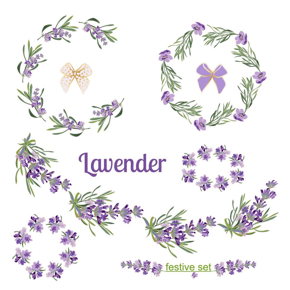 uppsättning festlig ramar och element med lavendel- blommor för hälsning kort. botanisk illustration. vektor