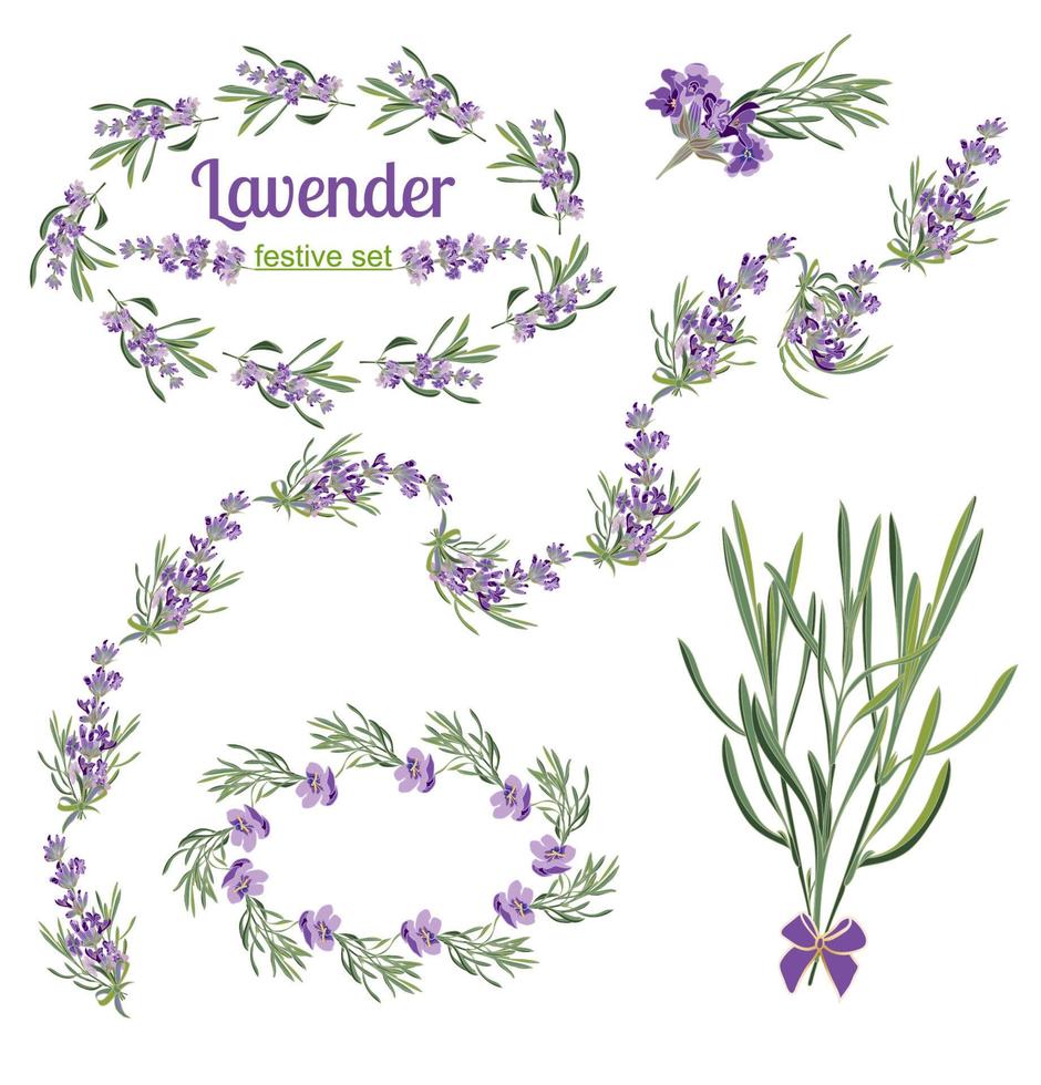 uppsättning festlig ramar och element med lavendel- blommor för hälsning kort. botanisk illustration. vektor