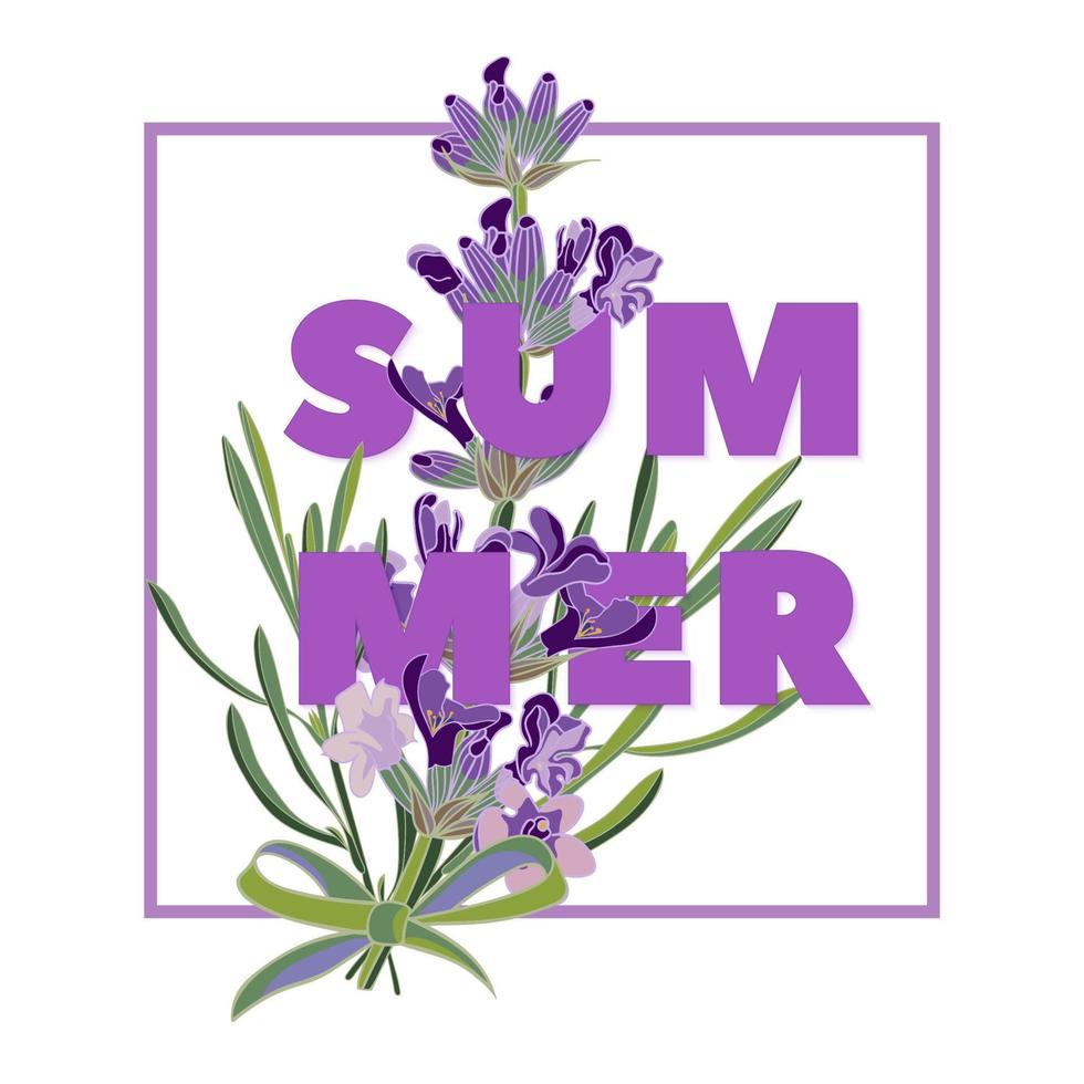 sommerblumenhintergrund mit schönen lavendelblumen auf weißem hintergrund. mehrfarbige Typografie-Grußkarte vektor